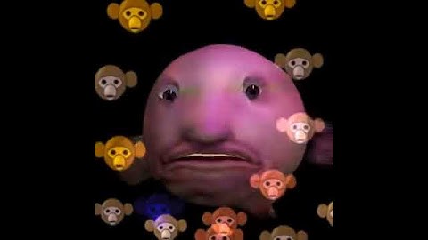 Blob fish