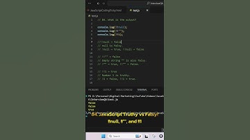 JavaScript Truthy vs Falsy  | Explained