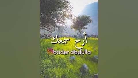 سورة الكهف   سعيد الخطيب