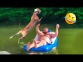 Funny animals 2023   funniest dogs and catss  1