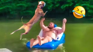 Funny Animal Videos 2023 😁 - Funniest Dogs and Cats Videos 😇 #1 by Funny Animals World 552,013 views 11 months ago 16 minutes