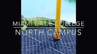 Miami-Dade College North Campus Tour pt 1