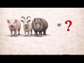 solve this IQ questions if you think you are a genius person 90% peoples are not solve it