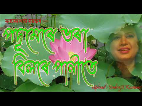 Podumere Bhora Bilore by Manjyostna Mahanta