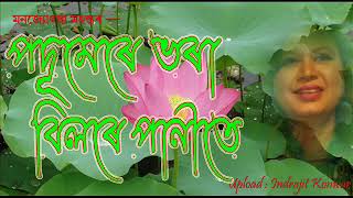 Video thumbnail of "Podumere Bhora Bilore by Manjyostna Mahanta"