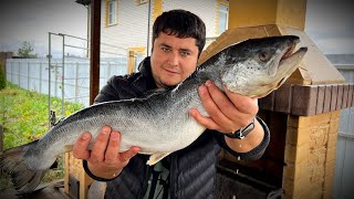 картинка: Жарим ЛОСОСЬ на Мангале целиком. Просто и Вкусно!