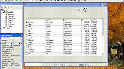 BUSQUEDA INCREMENTAL EN DELPHI - VIDEO 01