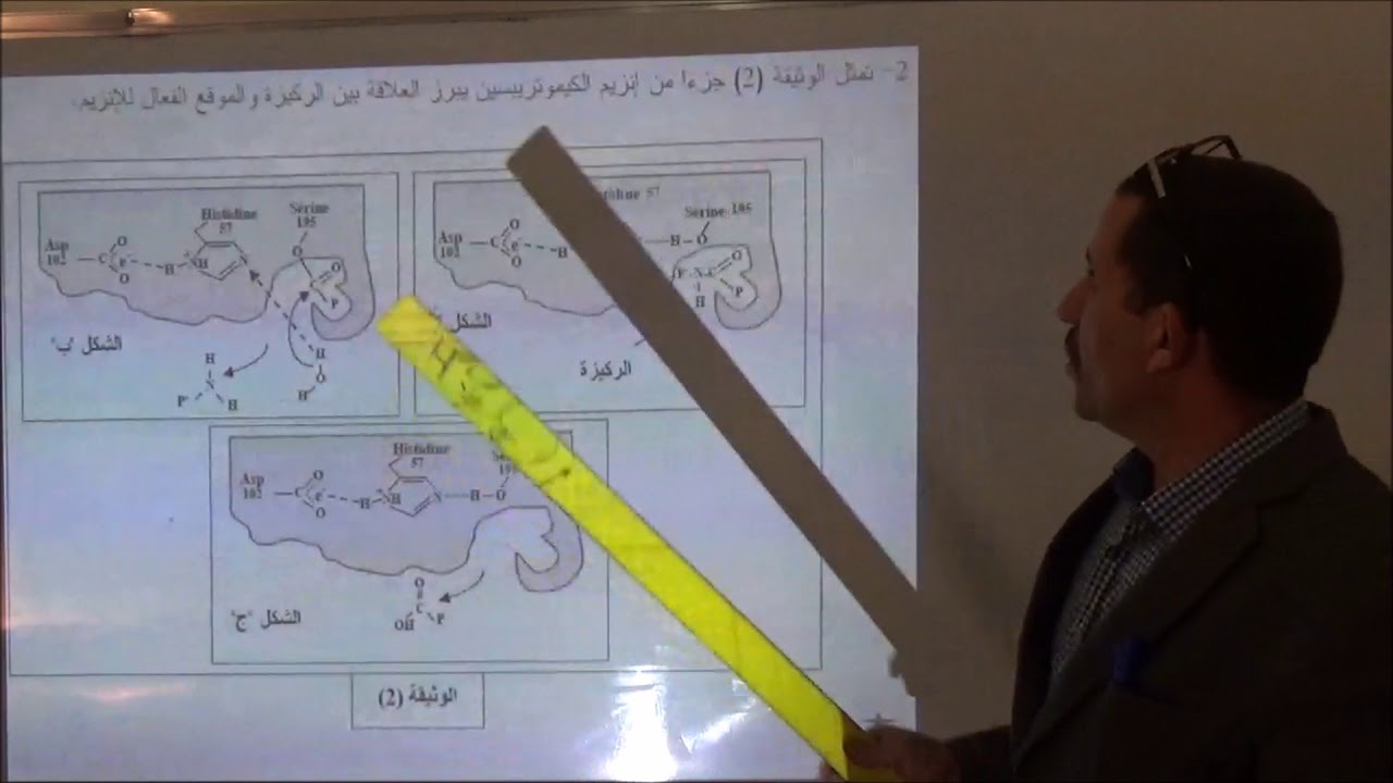حل تمرين 2 بكالوريا الوحدة 3 النشاط الأنزيمي للبروتينات