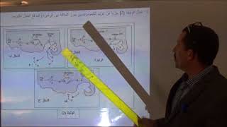 حل تمرين 2 بكالوريا الوحدة 3 النشاط الأنزيمي للبروتينات