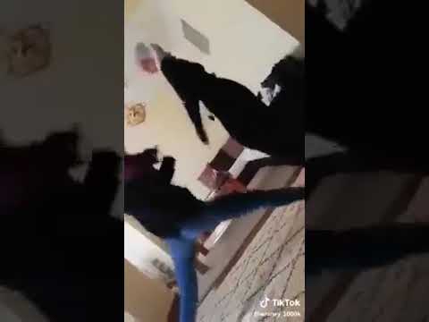 Sexy Hijab arab Girls twerking