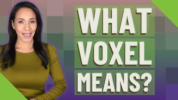 What voxel means?