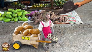 Super smart! YiYi harvests potatoes to sell to buy a hat for grandpa