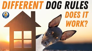 Same Home Different Rules: Will Reinforcement Based Dog Training Work? #118