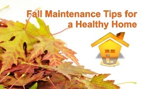 Fall Maintenance Tips for a Healthy Home