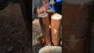 🔥Fire Making Techniques #Bushcraft #Camping #Survival #Outdoors #Campfire #Solocamping