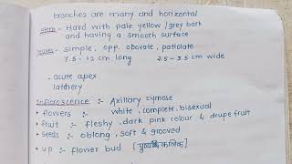 Lavang# dravya guna #BAMS 2nd year Ayurveda notes# all information ncism based ✨# important Notes555