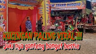 KUCINGAN PALING VIRAL JARANAN NEW SEKAR BUDOYO
