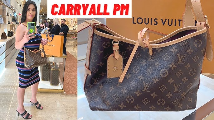 🤔LOUIS VUITTON CARRY ALL PM PROS AND CONS, INVEST IN HAND BAGS YOU LOVE