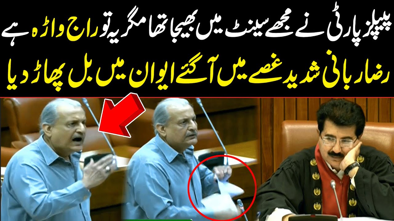 Raza Rabbani Tears Bill in Senate | Gets Furious on Chairman Senate | Public News