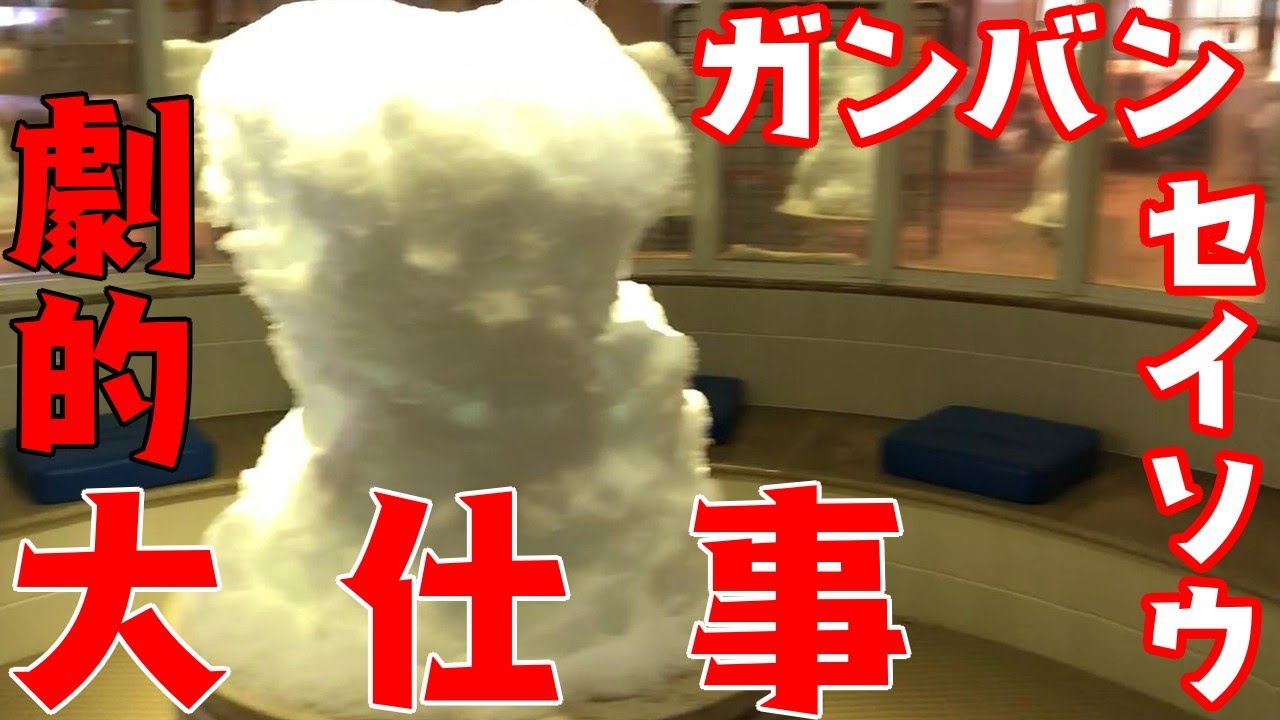 名東温泉花しょうぶ スタッフの大仕事 汗だくになってでも頑張ります 長久手 スーパー銭湯 岩盤浴 日帰り温泉 ロウリュウ 名古屋 癒し Youtube