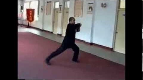 Master Yu Tian Lu - Cha Chui  插捶   (Qi Xing Tang Lang Quan)