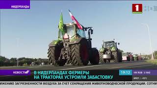 В Нидерландах фермеры на тракторах устроили забастовку
