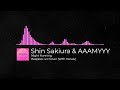 Shin Sakiura &amp; AAAMYYY - Night Running (Beepbox 4.0 Cover, with Vocals)