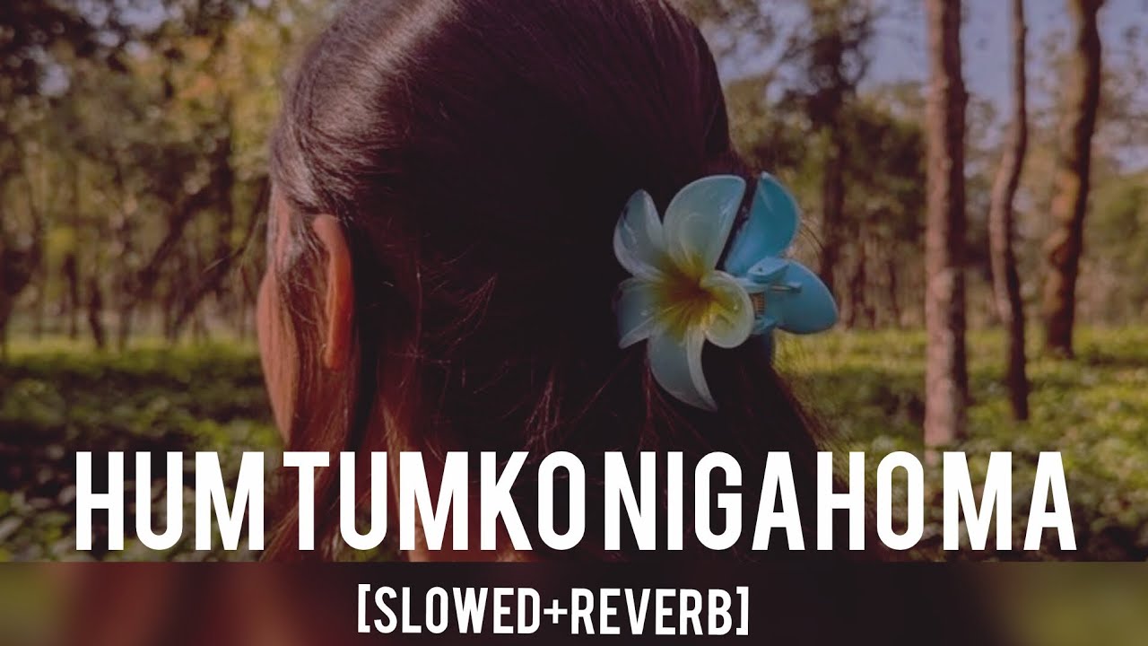 HAM TUMKO NIGAHO MAIN🤗 (Slowed+Reverb) 
