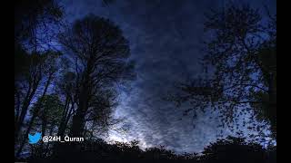 سورة العاديات الشيخ هاني الرفاعي