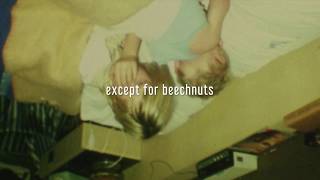 a balladeer - Beechnuts (lyric video)