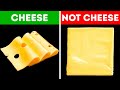 Why Cheese Has Holes And 75 Other Why's You Forgot To Google