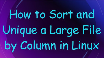 How to Sort and Unique a Large File by Column in Linux