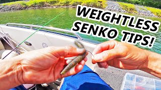 Wacky Rig Rods, Weightless, Senkos For Bass Fishing