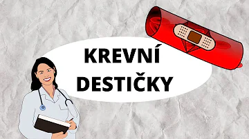 K vnitřnímu krvácení do dutiny břišní?