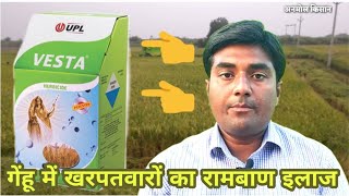 UPL VESTA Herbicide वेस्ता खरपतवारनाशक