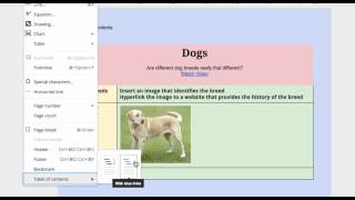 Google Docs Design Features: Table of Contents