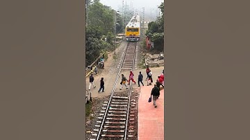 Emu Entering Railgate #shorts