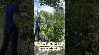 I Stopped Guessing When to Water My Garden