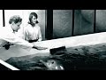 Dolphins and Space Exploration Insights
