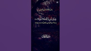 تلاوة عطرة #اكسبلور #القرآن_الكريم #دويتو #1k #duet #لايك #تيك_توك #حالات_واتس #راحة_نفسية #ترند