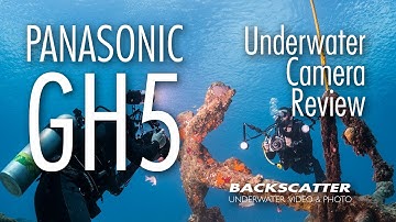 Panasonic GH5 - Underwater Camera Review