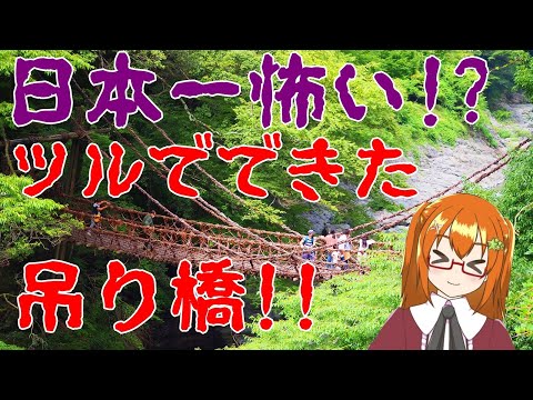 【橋】恐怖！植物でできた吊り橋