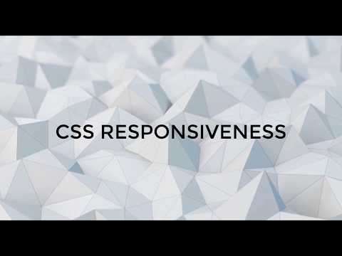 #10 RESPONSIVE CSS | HTML and CSS Crash Course Tutorial