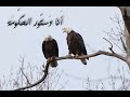 اسمع مِڼـّي معلومه اني دستور 📖 الحكومه ⚖️⚖️🚔