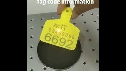 Laser engraving ear tag code information