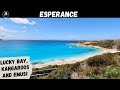 Travelling Australia: Esperance! Stunning Beaches, Lucky Bay and Wildlife!