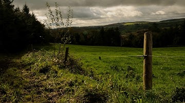 Virtual Dub Timelapse Deflicker and Zoom Test