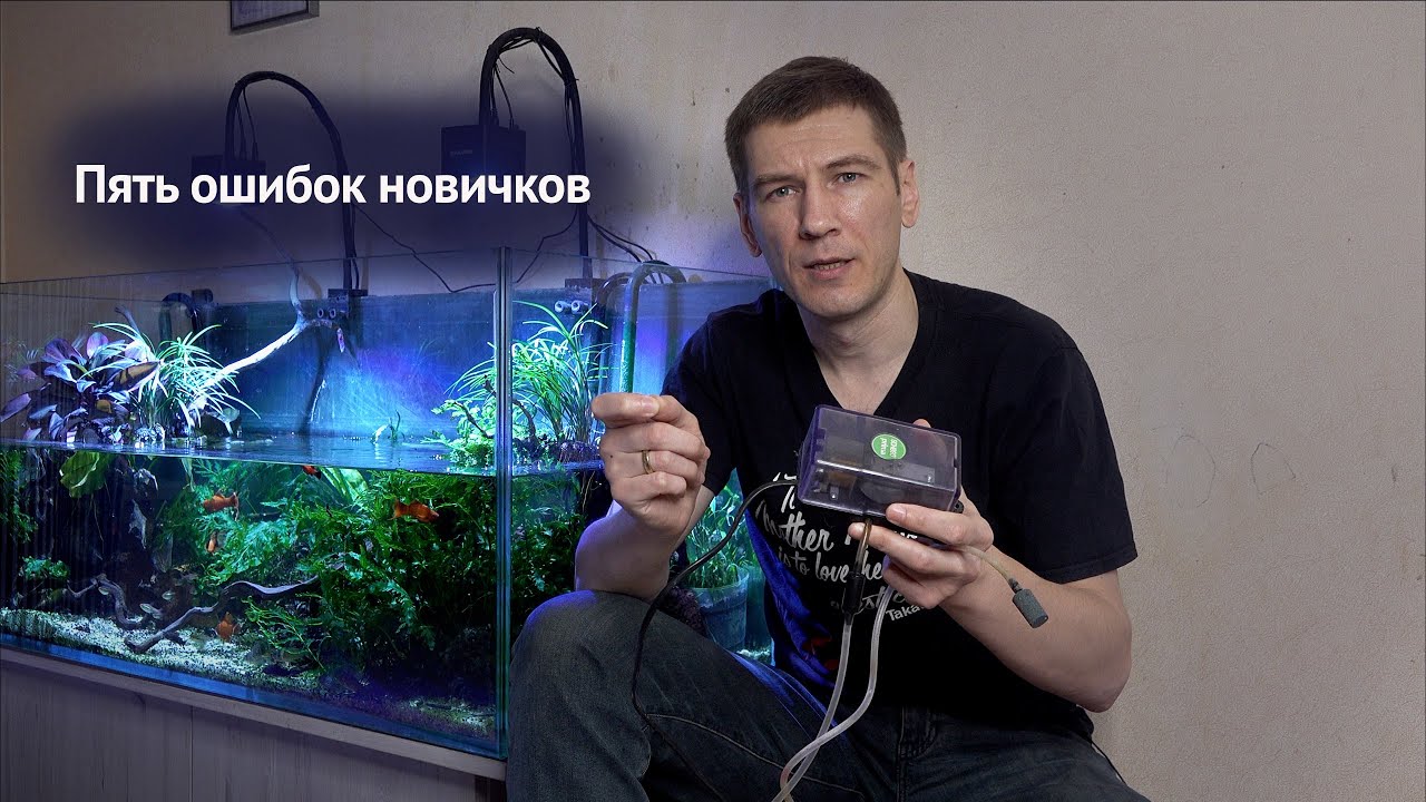 Смотреть видео