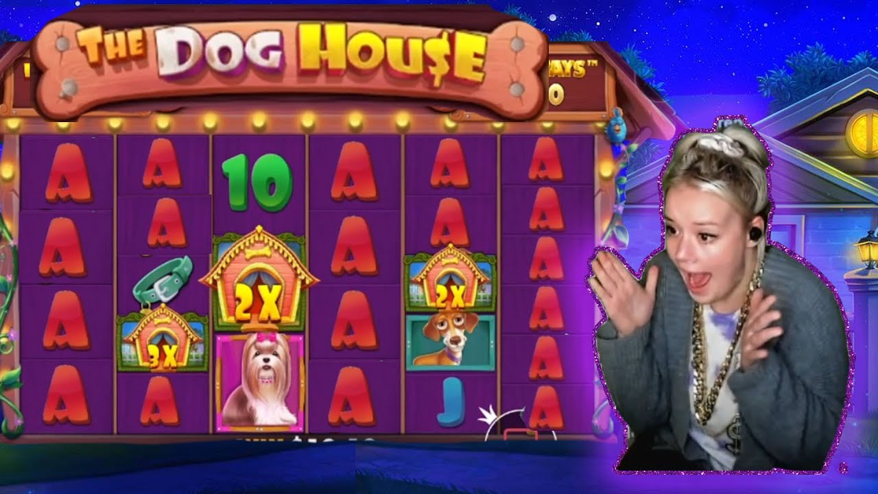 🏠🐶 BIG WIN on Dog House SLOT RAINING BONUS 🐶🏠 - YouTube