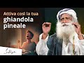 I benefici di svegliarsi presto la mattina | Sadhguru Italiano #ghiandolapineale #melatonina